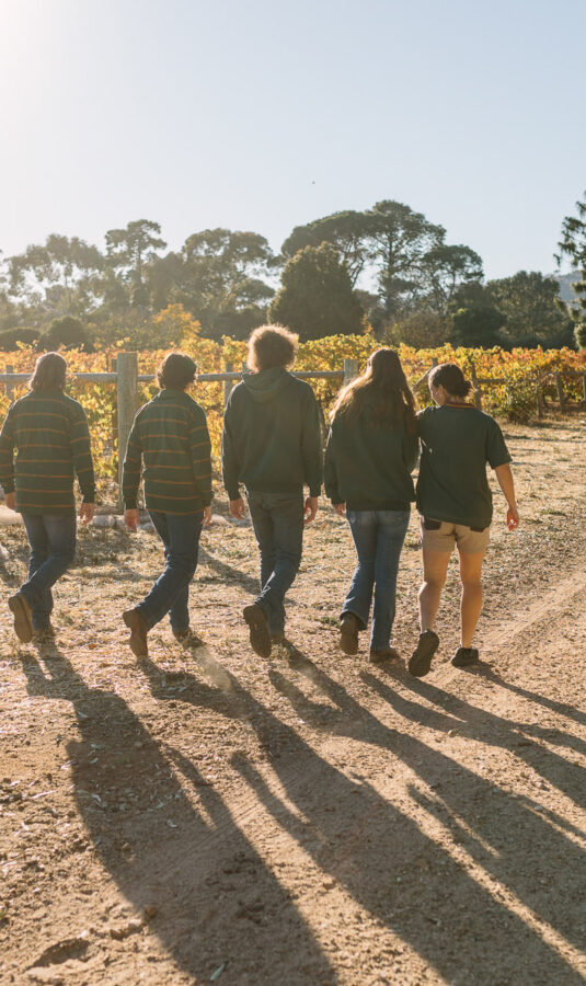 Students walking by school vineyard.